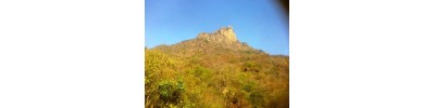 பர்வதமலை